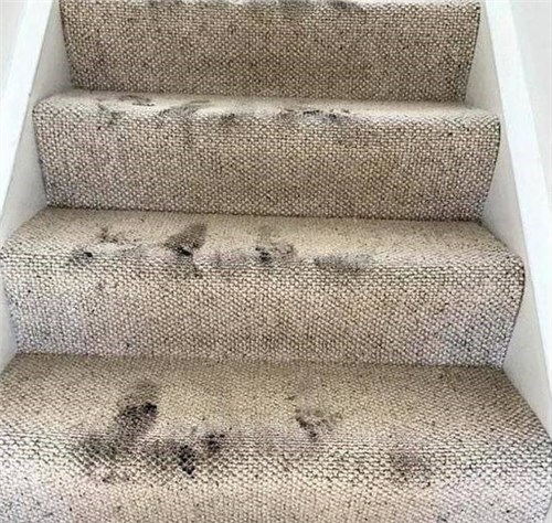 �ܺ����ڼ��˲���ʱ���������ң����¼�����ʧ��ǧӢ��