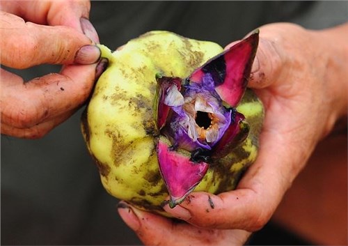 ���ֶ���һĶ��120��ÿ����100��Ԫ���ܶ������ر𰮳�