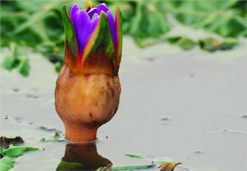 ���ֶ���һĶ��120��ÿ����100��Ԫ���ܶ������ر𰮳�