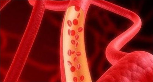 Ѫ�ܶ�û�£���һ�۾������6������ǧ��Ҫ���Σ�