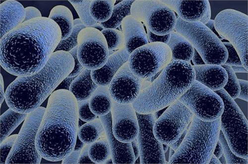 �����ز�������ϸ�����٣�ϸ�����ĵط����벻����