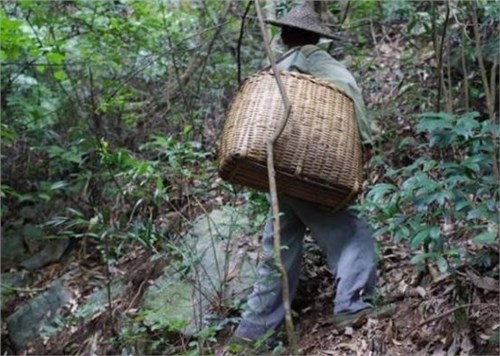 һ��ֻ��1�������£��Ϳ������뼸ʮ������ʱ�䶼�ڼ�����齫