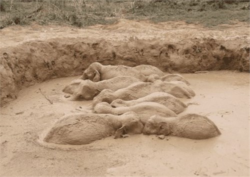 ��Ӳ��ϵķ�����ˮ��������ϸһ�������Ÿ�֪�峤