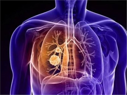 �������̵���ͻȻ�����������Ӱ�죿����