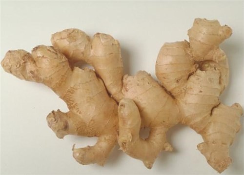 ���裡���г���1�������ԣ����¸ΰ���Ϊ�˼��˿�����