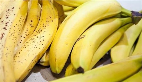 �㽶Ӧ����̵ֶģ�����ϸ���ģ�ר�ң���ʵ�����ԣ�