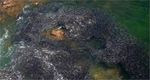 ī���纣ˮ���֣����غ�Ӱ������������󵱵ؾ���׷����뺣��