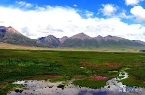 Why are 'Iron Rods' Erected on Both Sides of the Qinghai-Tibet Highway? What Are They For? Finally Figured It Out