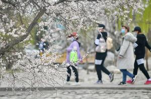 The Most Beautiful April Day