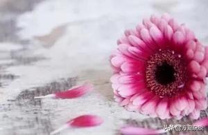 Fang Xia Chat: Walk Your Own Life Path, Rely on Yourself in All Matters, and Life Will Never Lose!