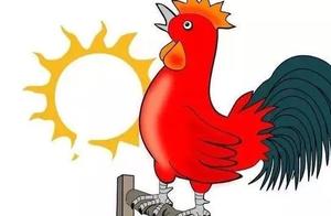 Rooster Theory - Don't Laugh