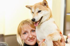 6 Signs a Shiba Inu Treats You Like 'Mom' – How Many Does Your Home Shiba Have?