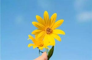 Life is Short, Start with Kindness and Not Being Angry