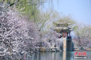 Beijing's Yihuang Garden Embraces Spring