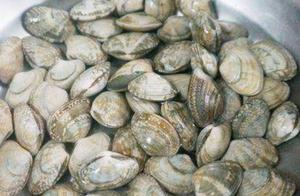 Home-Style Dish "Stir-Fried Clams", Suitable for Both Meals and Appetizers, Simple to Make