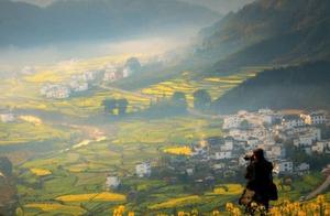 Bloom! The Inauguration of the Yellow Flower Festival in Wuyuan, with Tourist Reception Volumes Returning to Over 10,000 on the First Day