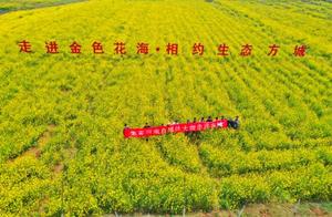 Old Hometown Tourism Group Visits Fangcheng County's Ten Thousand Mu Rapeseed Flower Fields (with Best Viewing Route)