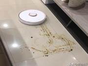 When Robot Vacuum Meets Dog Poop – The Scene is Heartbreaking!
