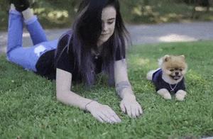 Adorable Dog and Mom, Amazing Synchronization!