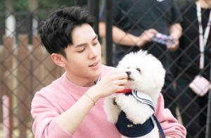 The Reason Li Jiaqi Sent His Dog to School Has Been Revealed! It's Not Just About Money, But a Warm-Hearted Intention