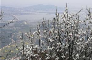 Spring Blooms and Climbing,