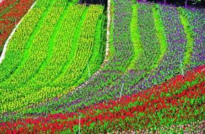 Industry | Wuyang District’s Tourism Industry Gradually Recovering