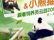Giant Pandas and Red Pandas Are Here! "Li Zhi Live" Cloud Science Tour of Nanjing Hongshan Zoo