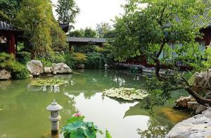 A 'Suzhou Garden' Hidden in Zhengzhou's Zhijinshan Park, Considered Zhengzhou's Most Beautiful Courtyard