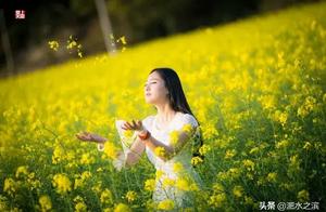 Spring Day, Fine and Good