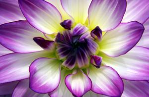 Create One Spring and Autumn, Win a Life Without Regret