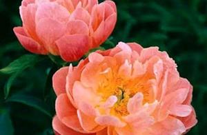 In middle age, life is numbered in fingertips; treat life, others, and yourself well