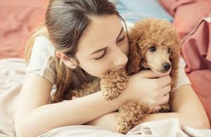 New Coronavirus Period: Is Pet Hygiene Neglectable?
