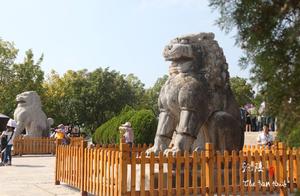 Xi'an Tourism: Qianling Mausoleum and the Uninscribed Stele