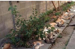 Man Planted Plants in His Yard and Suddenly Felt 'Guilty'