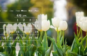 University Monthly Calendar | Everything Flows Smoothly, Beyond Spring