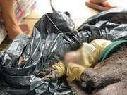 Kaohsiung Man Punishes Black Dog for Not Following Commands by Binding Limbs and Suffocation