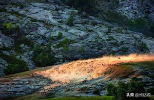 Even if all nomadic civilizations disappear, Altai Mountains will continue to protect the nomadic life