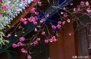 China's Most Suitable Honeymoon Destinations: Romance, Beauty, and Charm – It's Undisputed!