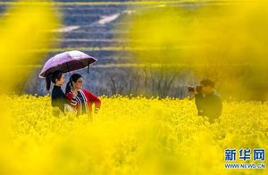 Feel the Essence of Spring