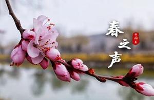 Go to Embrace Spring | Springtime is Brilliant, Let's Meet at Rongguo Mansion to Admire the Flowers