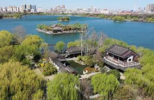 Beautiful Spring Scenery at Daming Lake