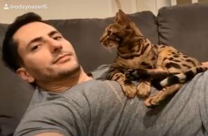 Cat Lovers Show 'Affection,' Looking Proud: Would Your Cat Be This Affectionate and Cute?