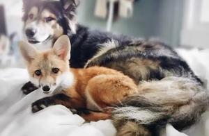 Please take care of yourself, love your loved ones well, and kindness is victory.