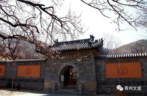 Apricot Blossom Shadows, the Elegance and Tranquility of Guangfu Temple in Qinzhou