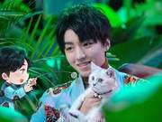 TFBOYS, "Sharing" 200221 Fan-Made Cat Feeding Illustration of Wang Junkai, Both Big Cat and Little Cat Are Adorable