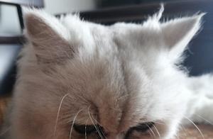 I miss Auntie Hua downstairs so much on these sad days...