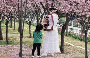 All Flowers Fragrant! Safety and Beauty Together