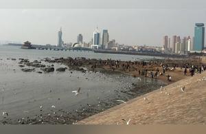 Like a Poem, Like a Painting: Beautiful Zhanqiao Bridge, Zhongshan Road