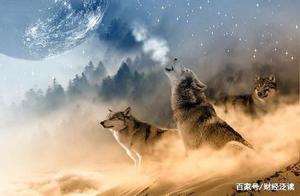 Wolfishness: Cultivating Four Powerful Mindsets When Poor – Even the Poorest Won’t Remain Poor for Long