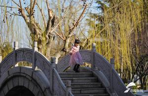Weihai Rongcheng: Lush Spring Atmosphere in March, Citizens Joyfully Welcome the Spring